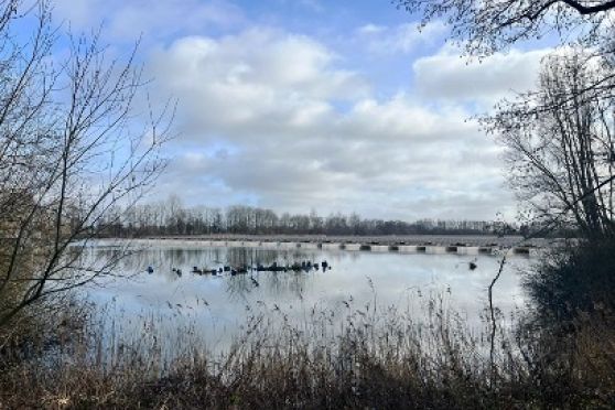 Locatiefoto Zonneplas Paardeweide